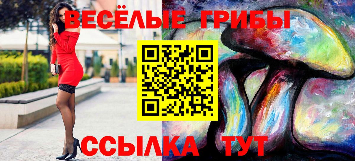 Псилоцибиновые грибы GOLDEN TEACHER  купить  цена  Наро-Фоминск  Вход с VPN 