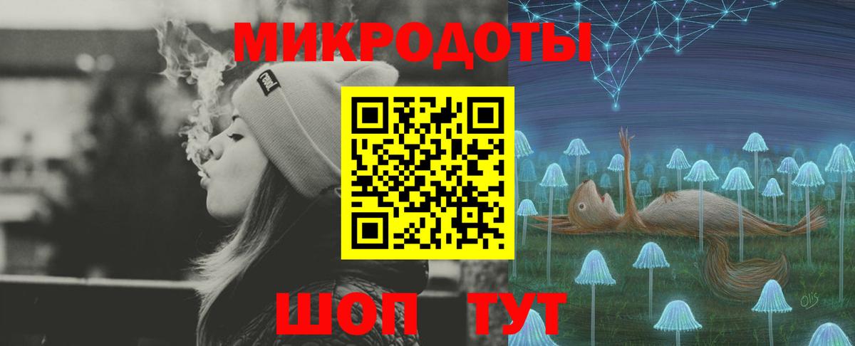 Псилоцибиновые грибы Psilocybe Наро-Фоминск